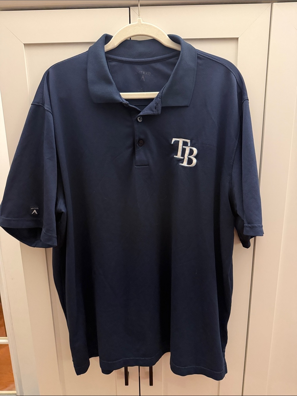Antigua Navy Tampa Bay Rays Embroidered Polo
